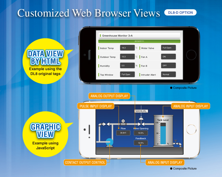 Customized Web Browser Views