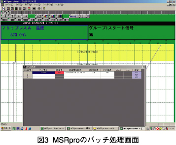図3 MSRproのバッチ処理画面